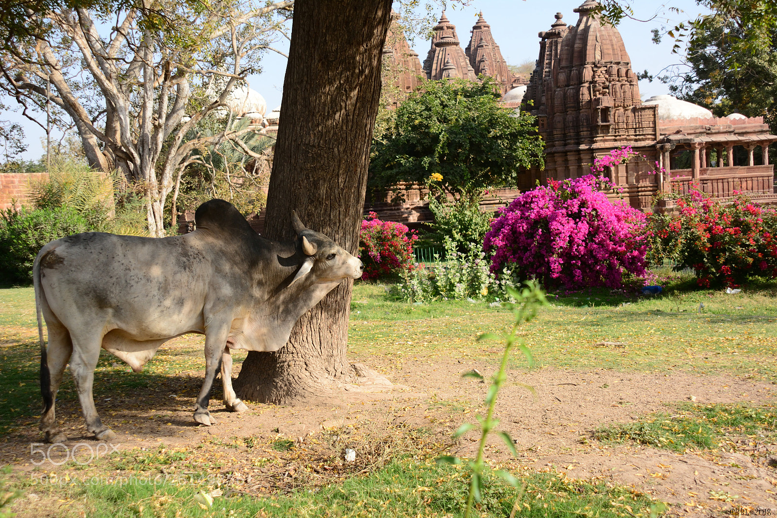 Nikon D7100 sample photo. What a beautiful place photography