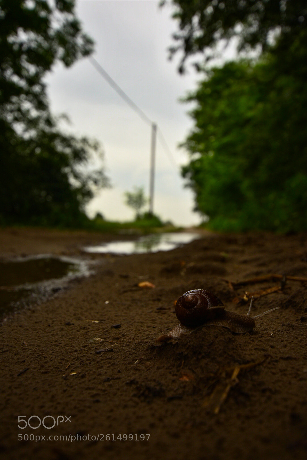 Nikon D7200 sample photo. Untitled photography