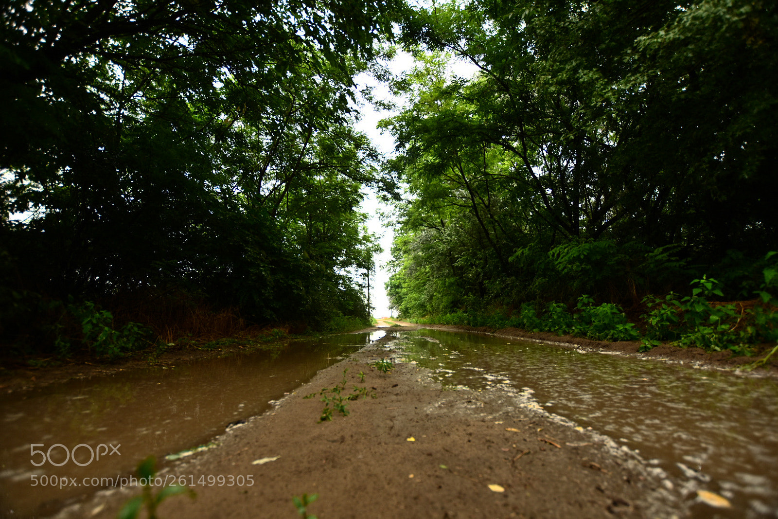 Nikon D7200 sample photo. Untitled photography
