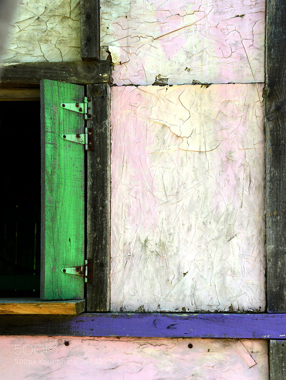 Nikon D800 sample photo. Layout photography