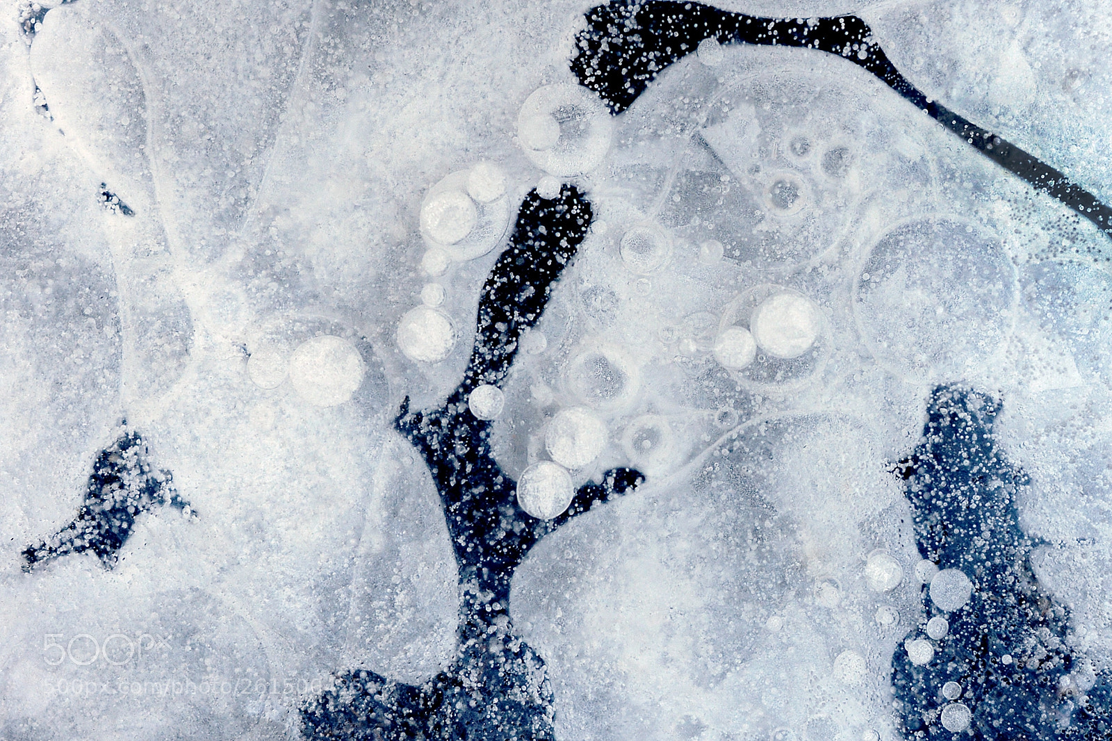 Nikon D700 sample photo. Ice patterns photography