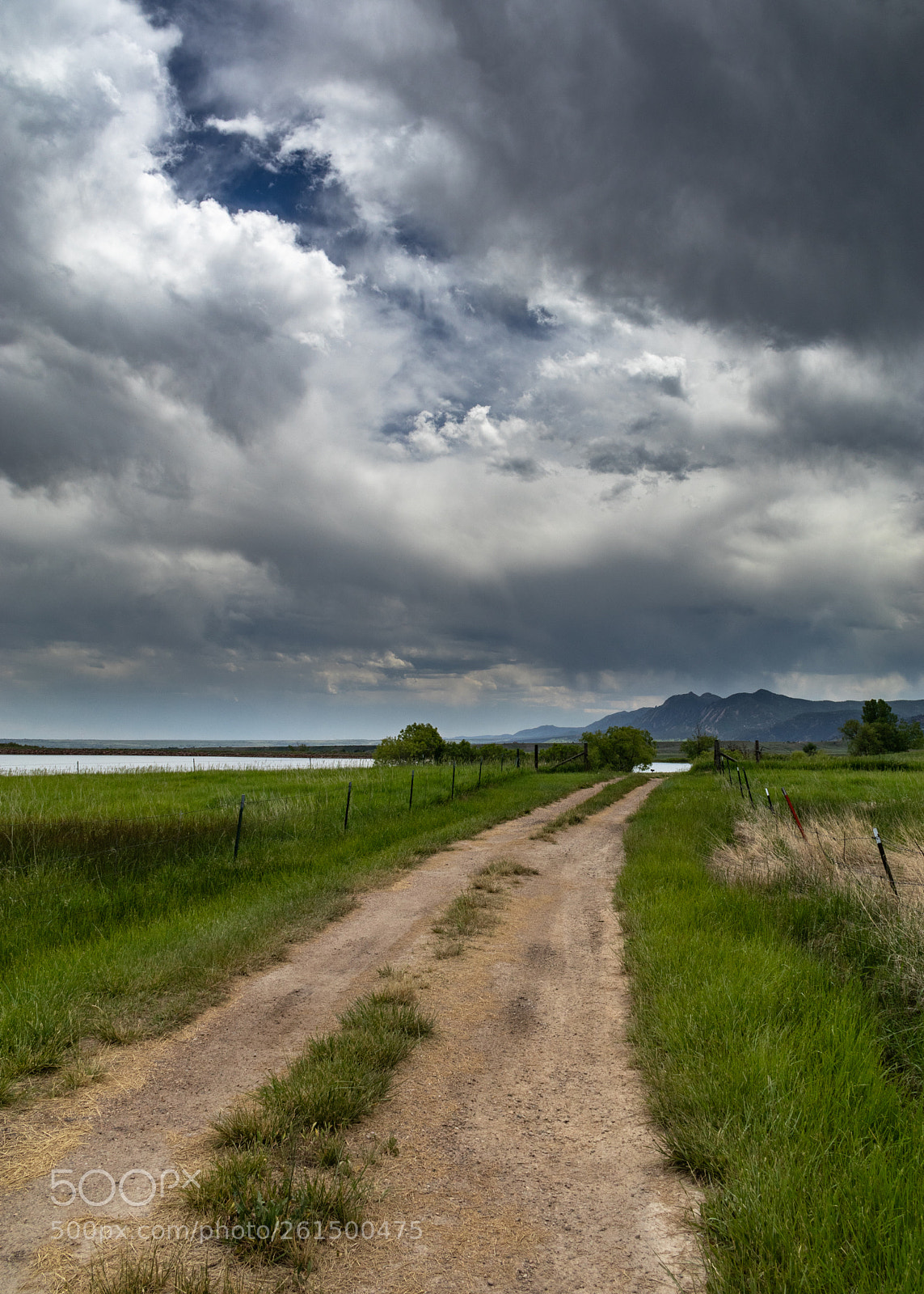 Canon EOS 80D sample photo. Reservoir road photography