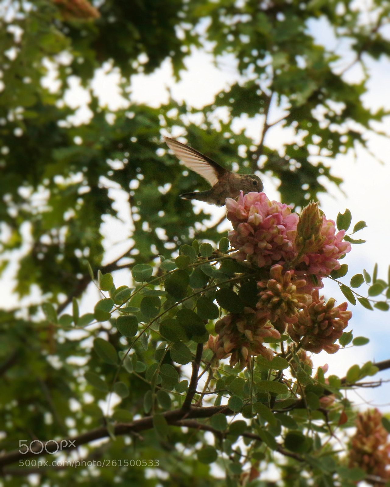 Canon EOS 700D (EOS Rebel T5i / EOS Kiss X7i) sample photo. Drink up photography