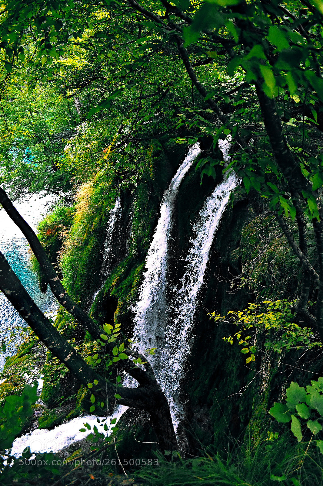 Nikon D3100 sample photo. Little waterfall photography
