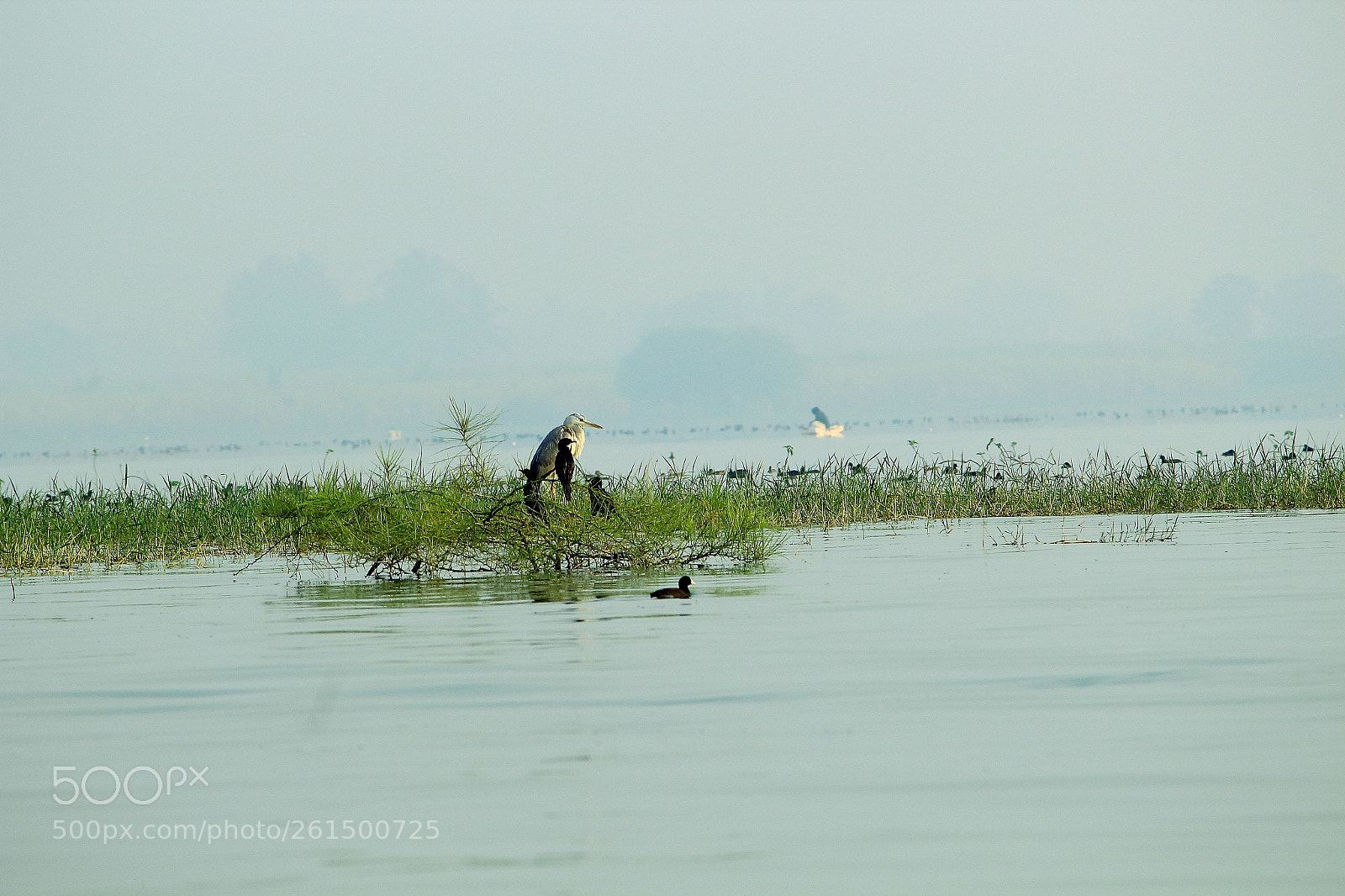 Canon EF-S 55-250mm F4-5.6 IS II sample photo. Lets rest photography