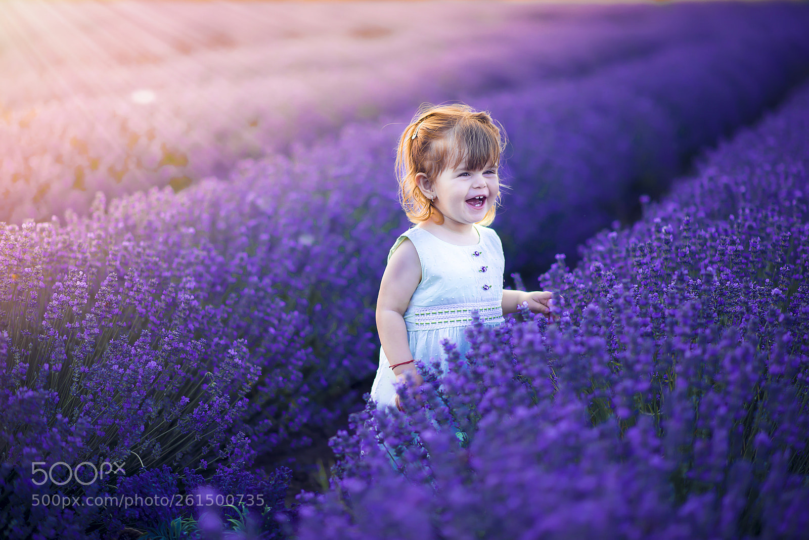 Nikon D610 sample photo. Lavender smile photography