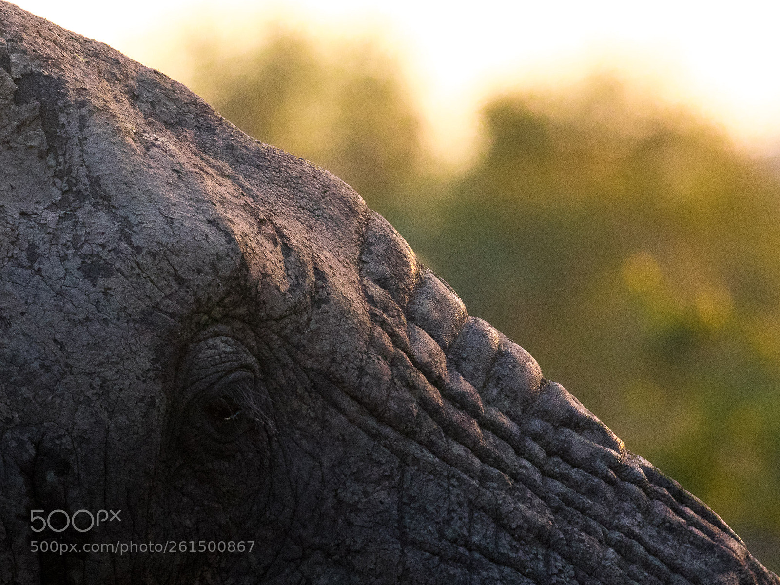 Canon EOS 7D Mark II sample photo. Sa photography