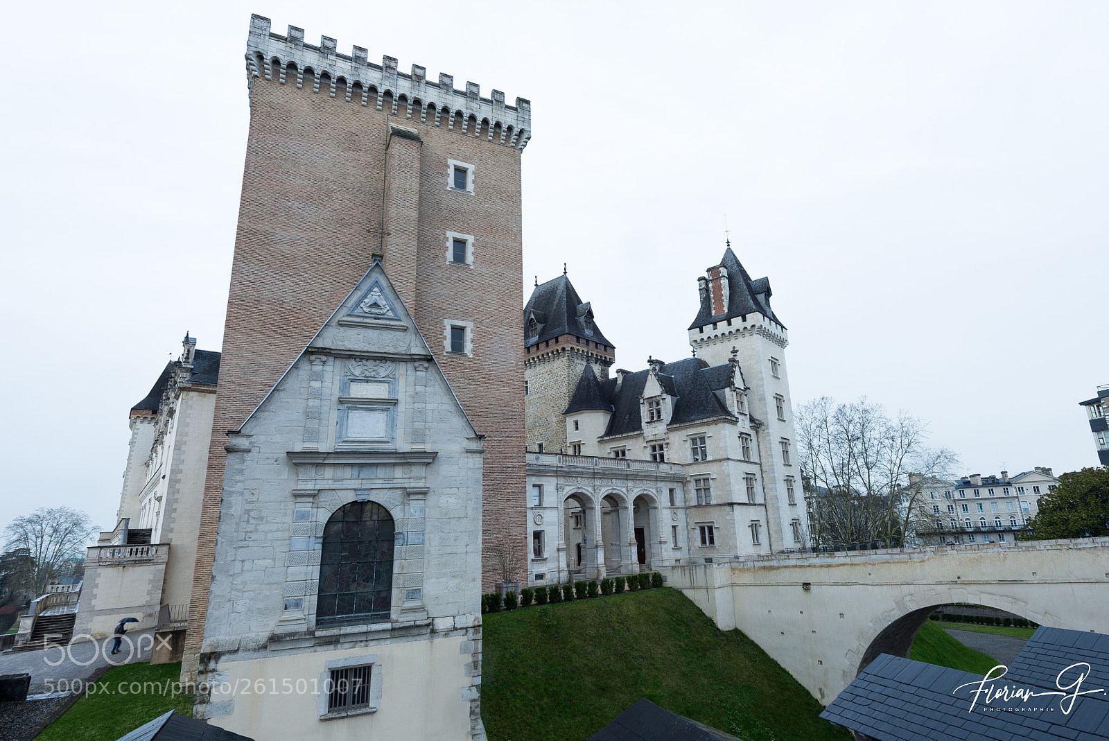 Nikon D610 sample photo. Chateau de pau photography