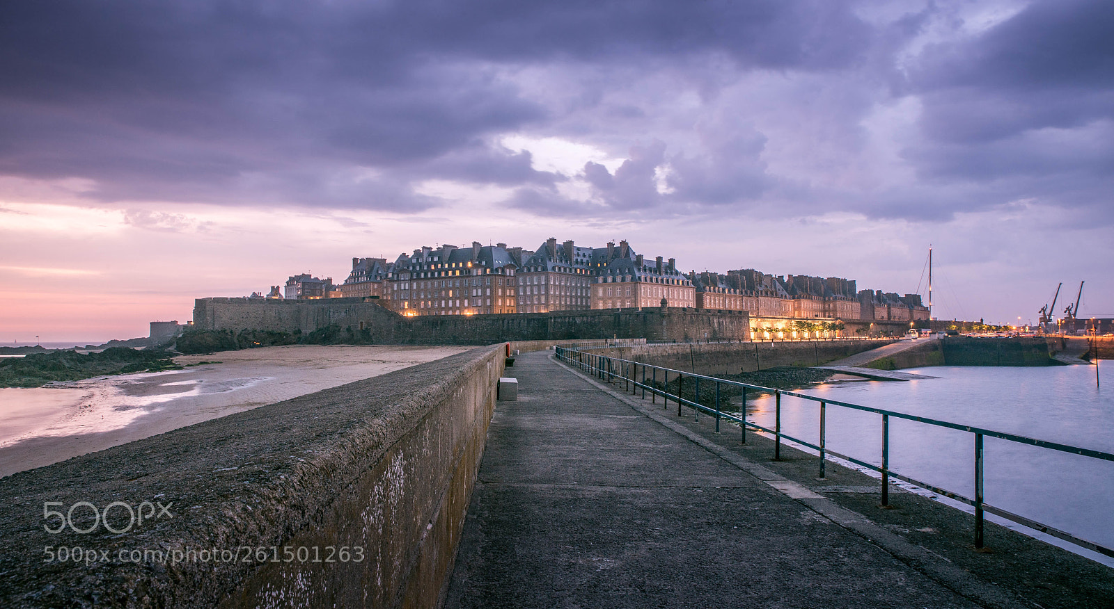 Nikon D750 sample photo. Le m le des photography