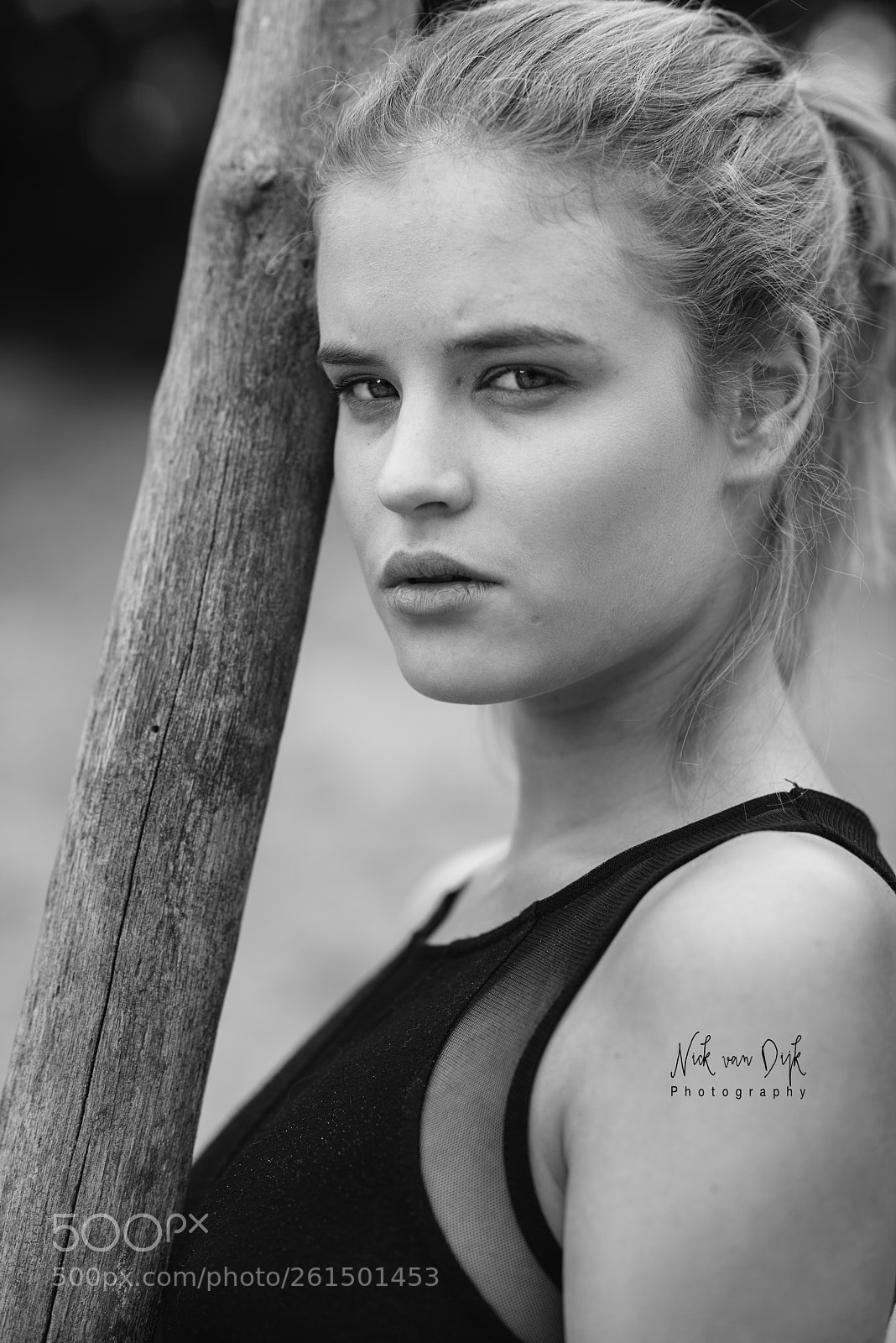 Nikon D800 sample photo. Anthe ii photography