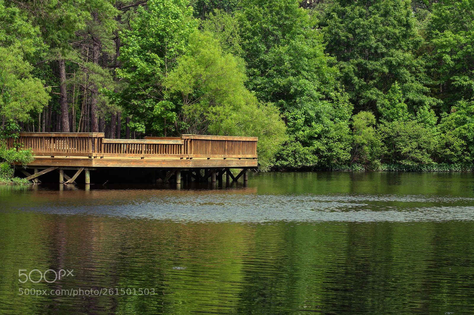 Canon EOS 700D (EOS Rebel T5i / EOS Kiss X7i) sample photo. Serenity photography