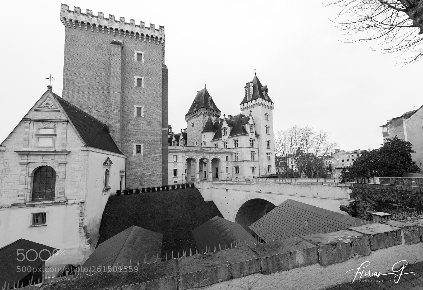 Nikon D610 sample photo. Chateau de pau photography