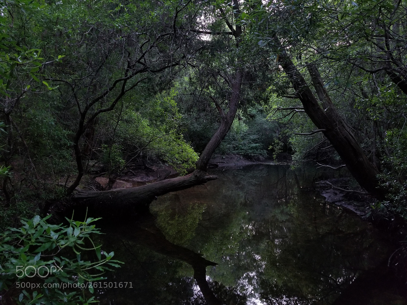 Samsung Galaxy S8+ sample photo. The soothing river photography