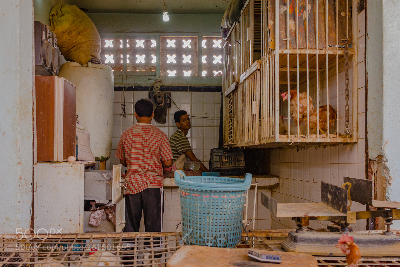 Canon EOS 60D sample photo. Chicken shop photography