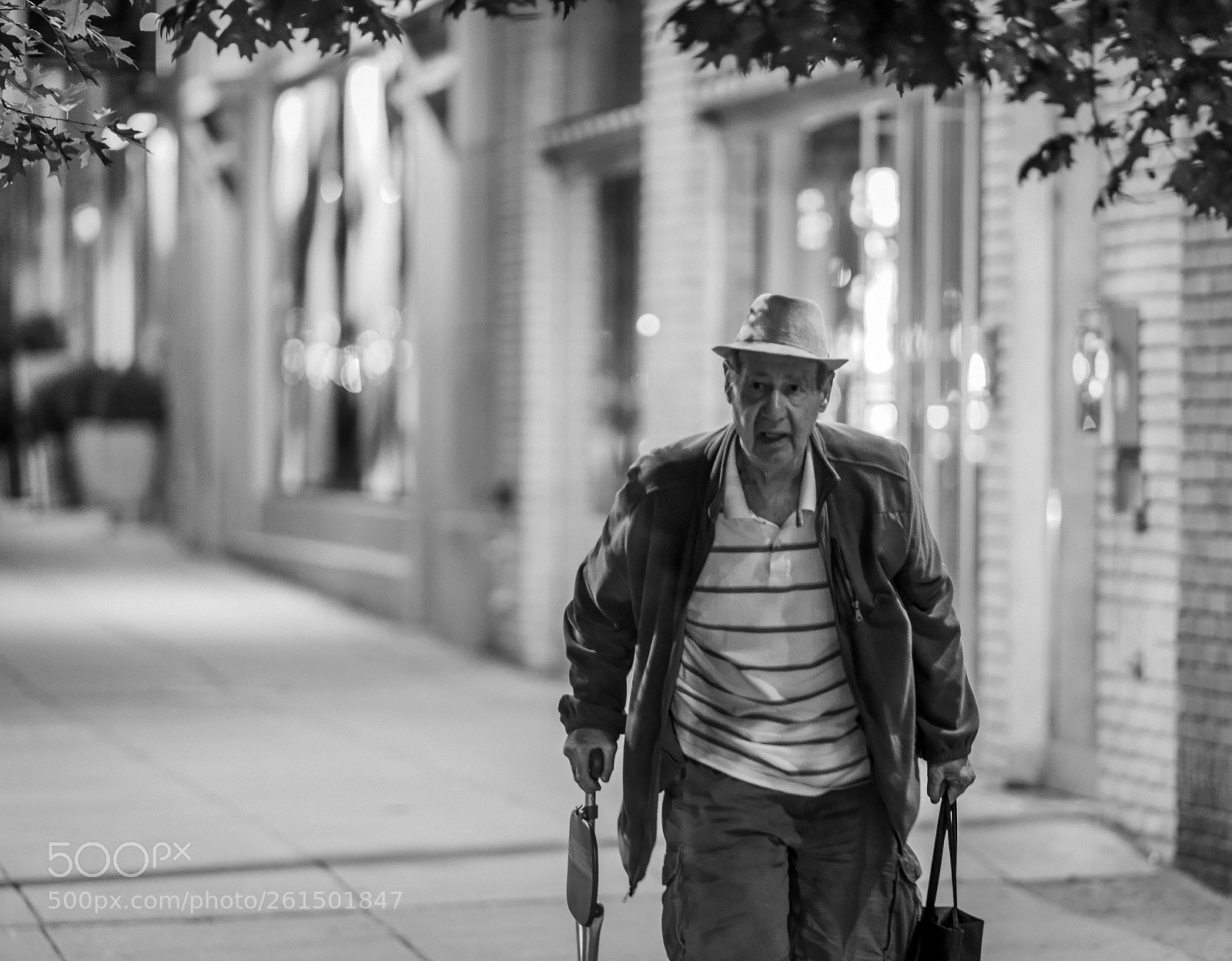 Nikon D750 sample photo. Walking photography