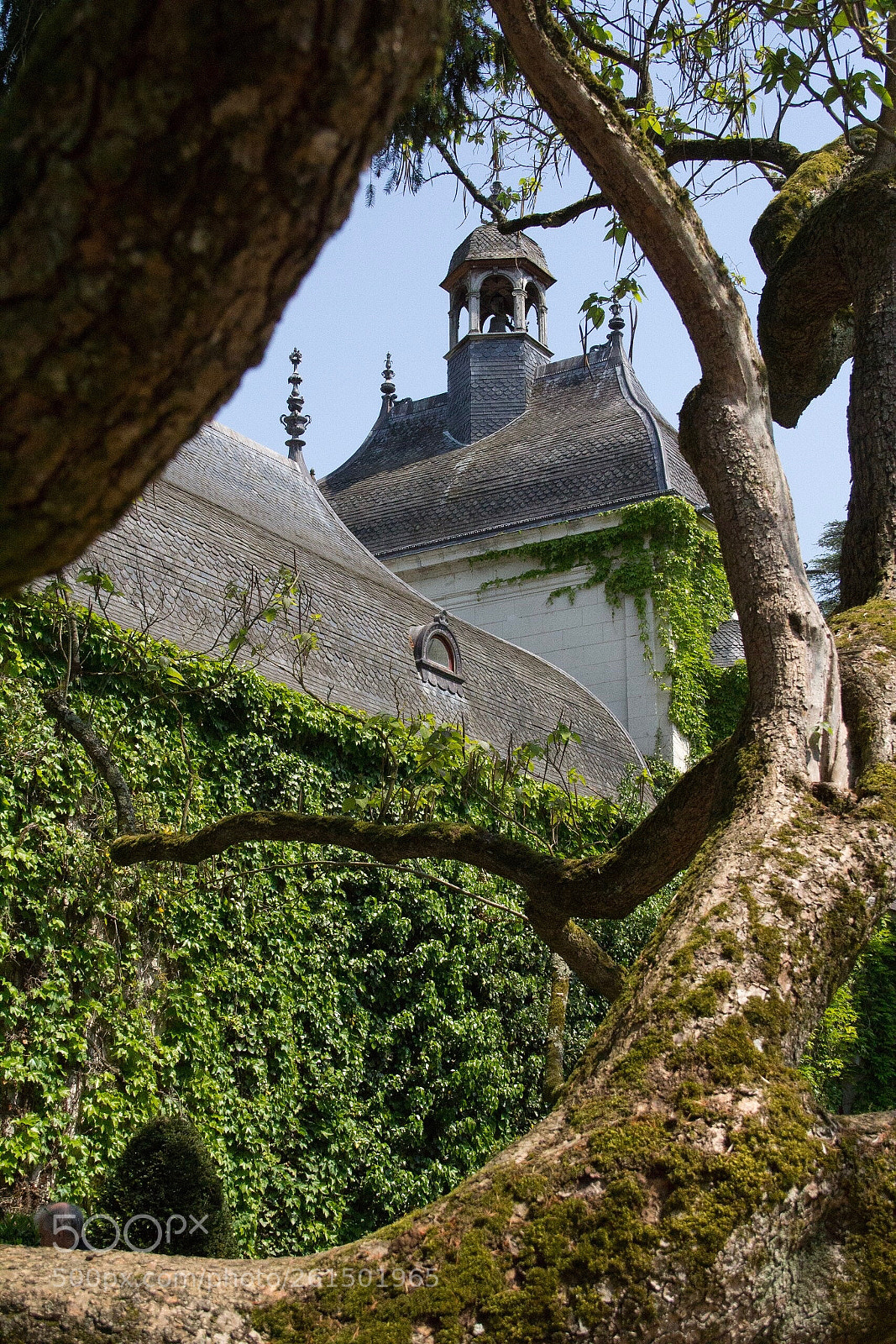 Canon EOS 60D sample photo. Castle at nitre photography