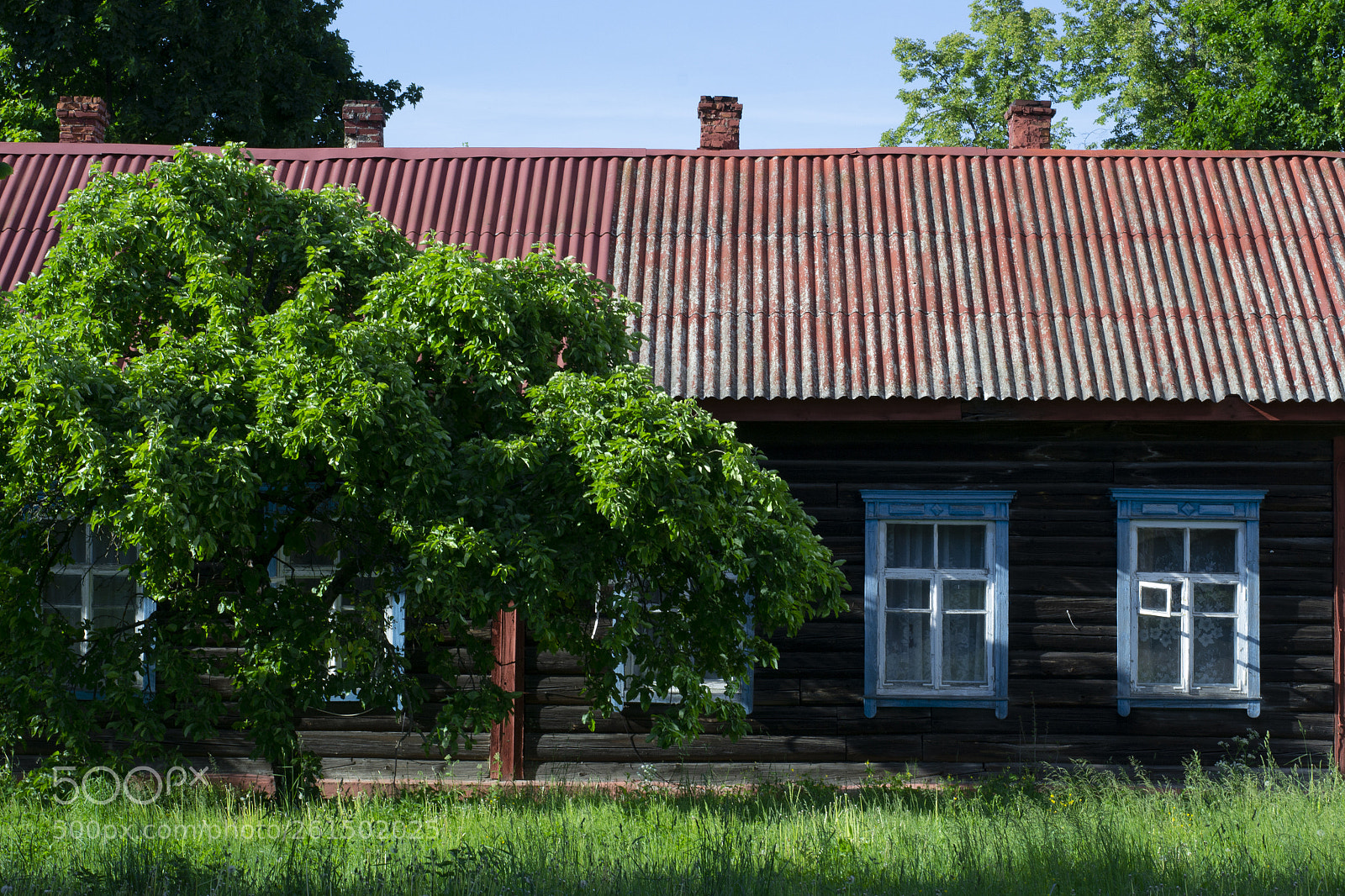 Nikon D3100 sample photo. домик photography