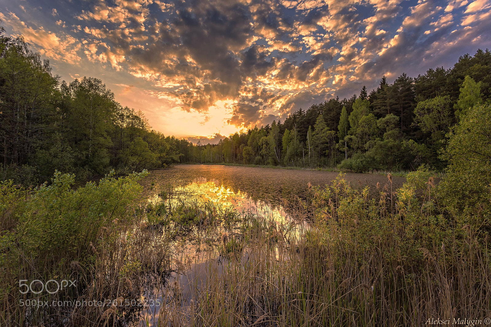 Canon EOS 6D sample photo. Spring sunset on a photography