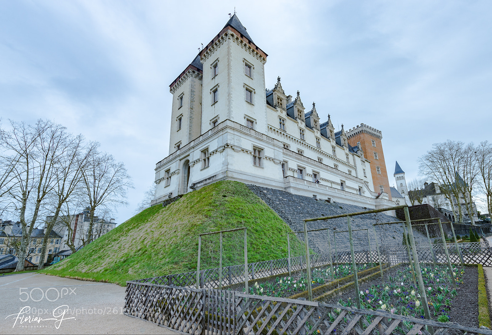 Nikon D610 sample photo. Chateau de pau photography