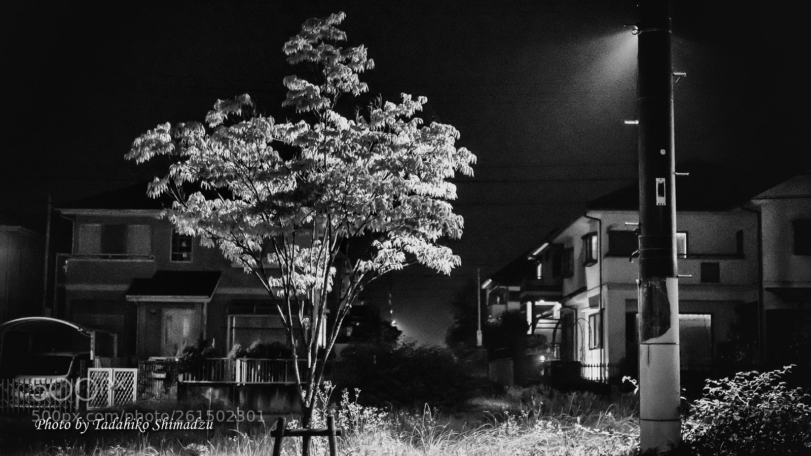 Fujifilm X-T2 sample photo. After the rain photography