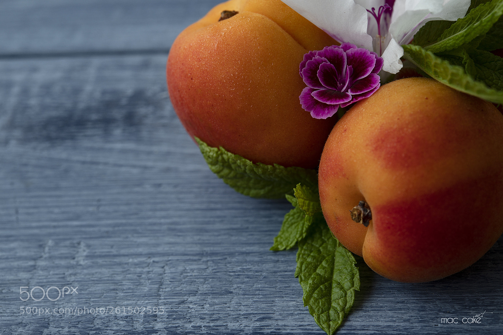 Nikon D850 sample photo. Apricots photography