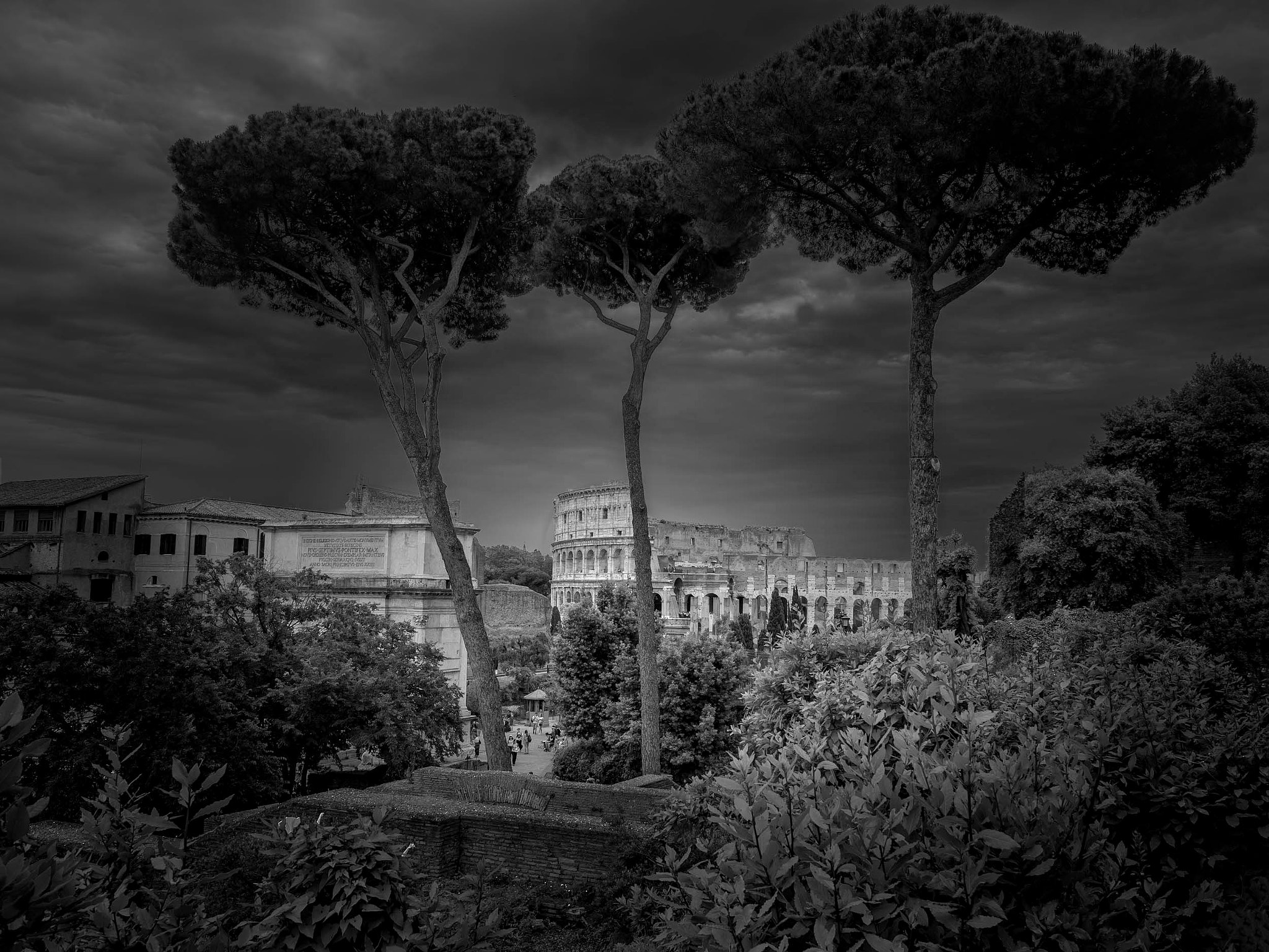 Olympus PEN-F sample photo. Colosseum, roma photography