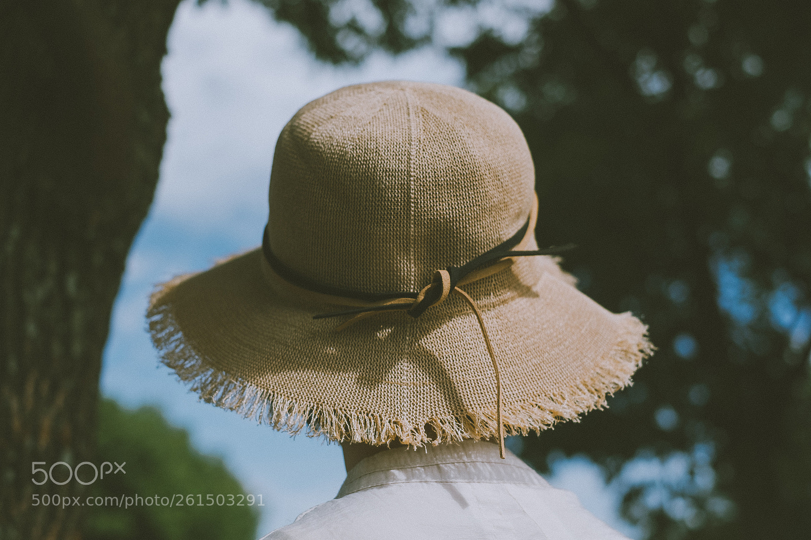 Fujifilm X-T10 sample photo. Edited photography