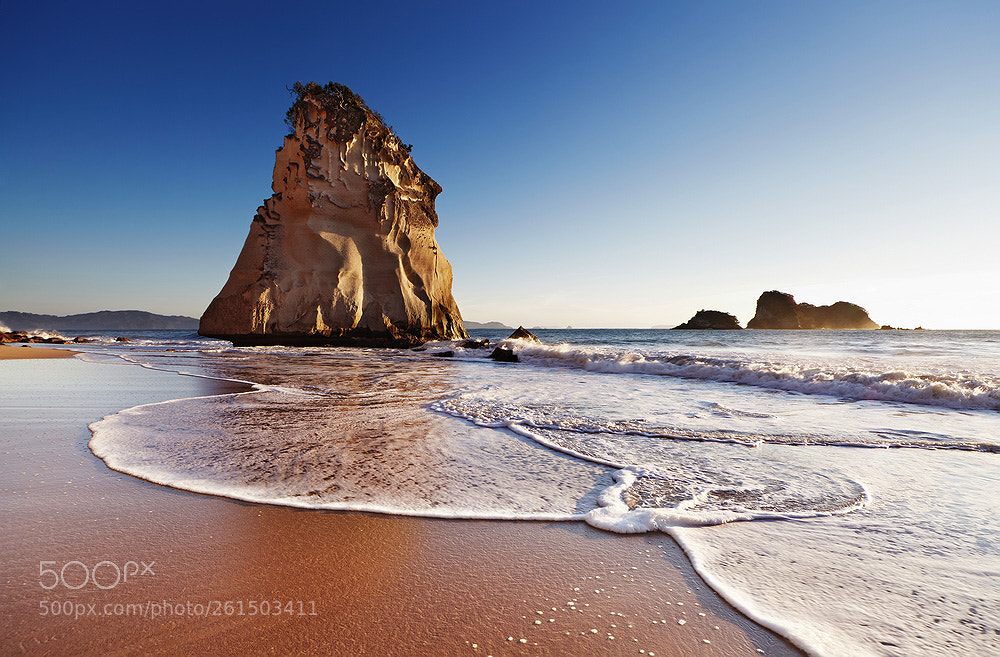 Canon EOS 5D Mark II sample photo. Cathedral cove, new zealand photography