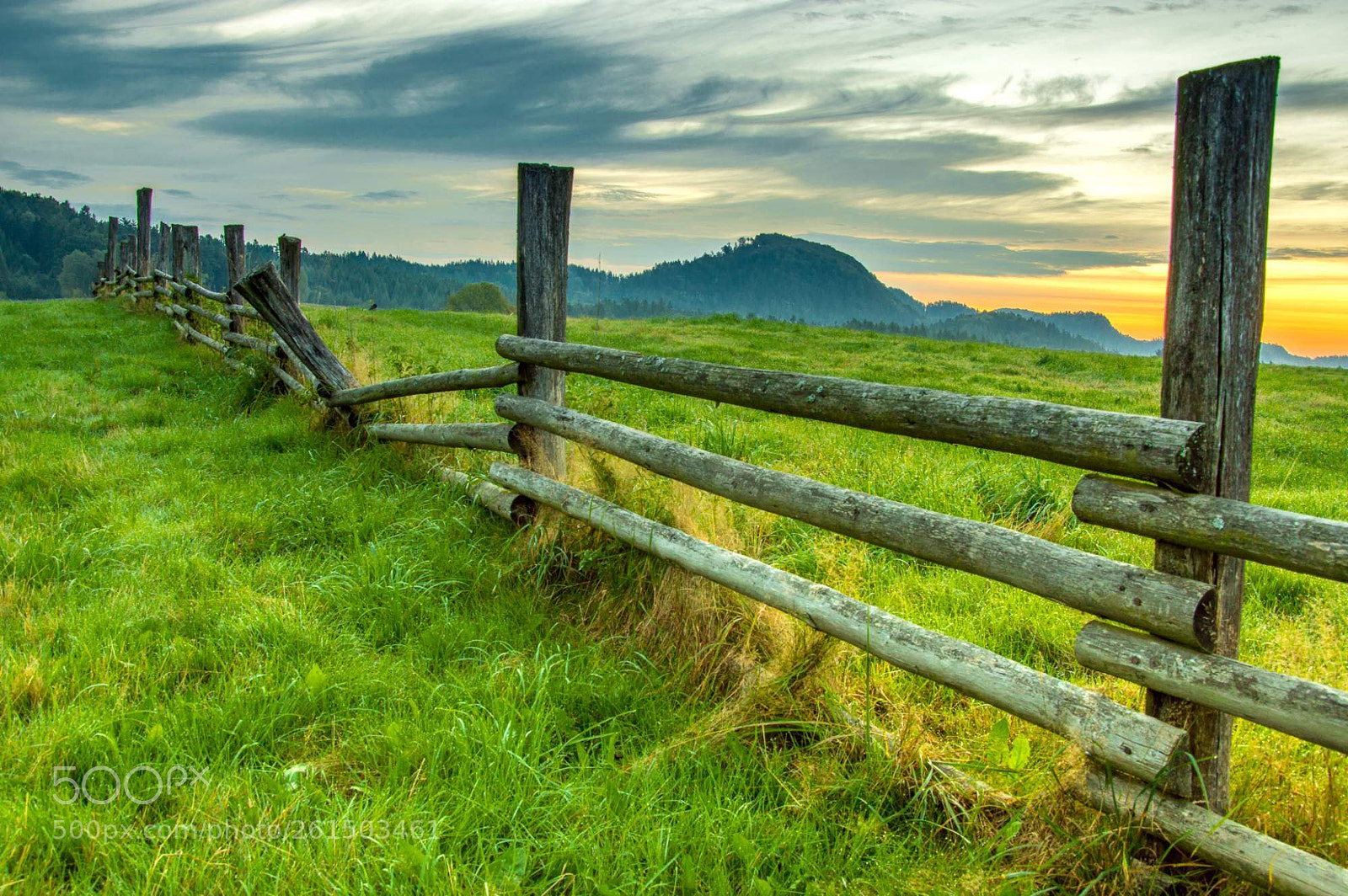 Nikon D3200 sample photo. Waking up meadows in photography