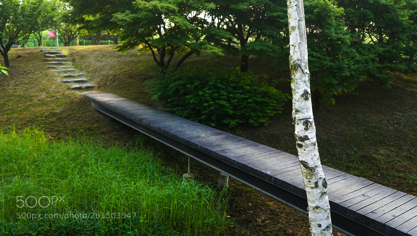 Sony a7 II sample photo. Dsc photography
