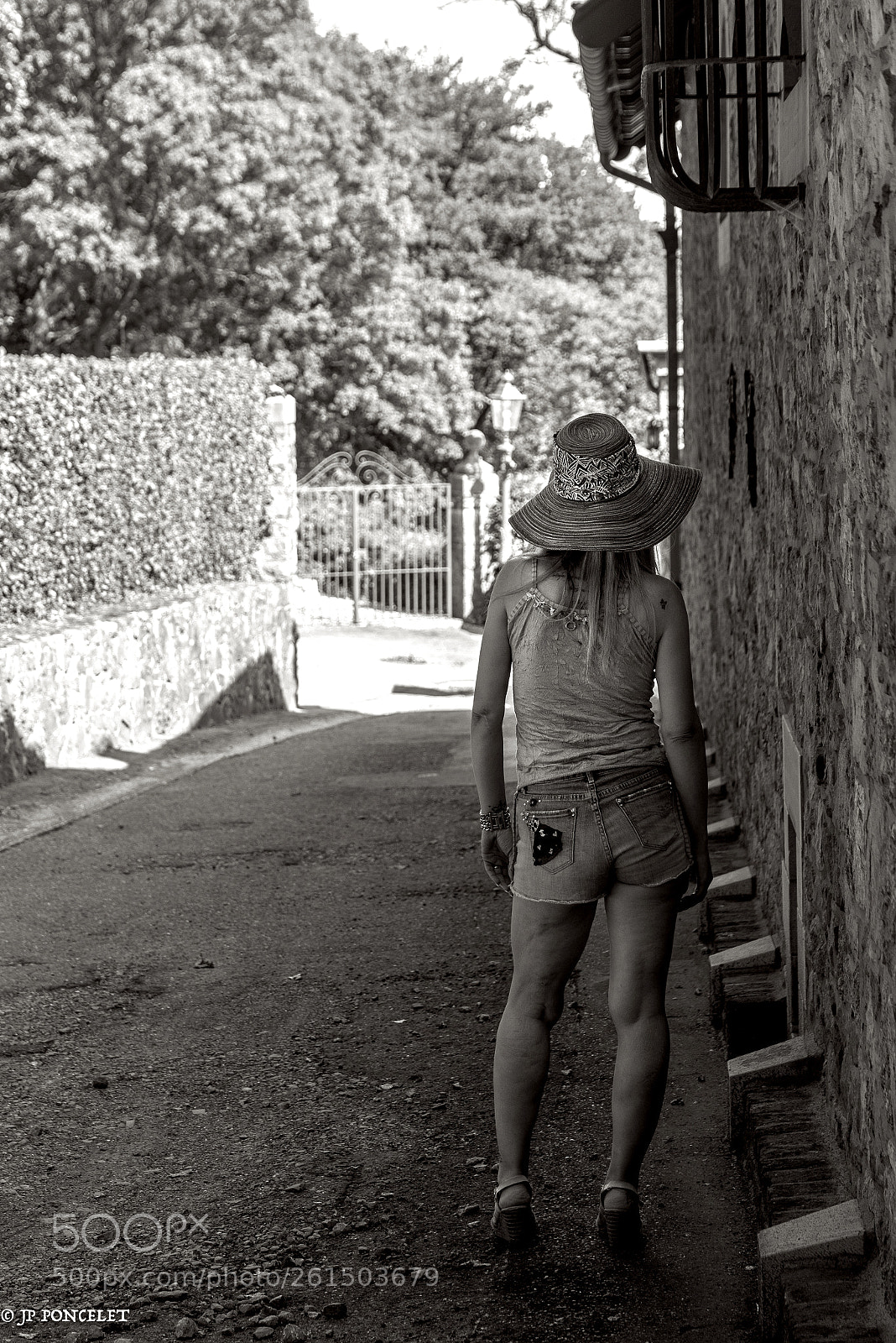 Nikon D750 sample photo. Untitled photography
