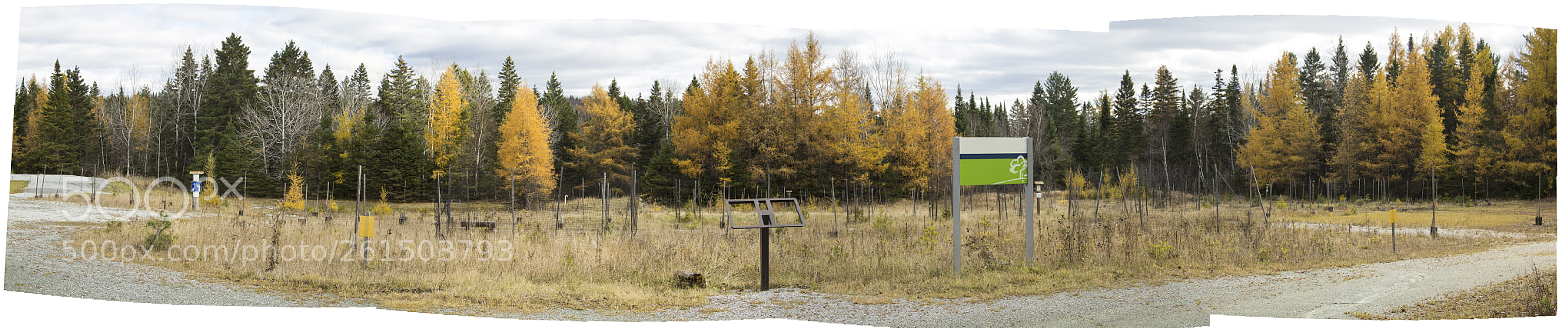 Canon EOS 60D sample photo. Parc copie photography