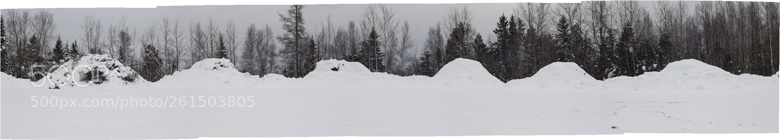 Canon EOS 60D sample photo. Neige copie photography