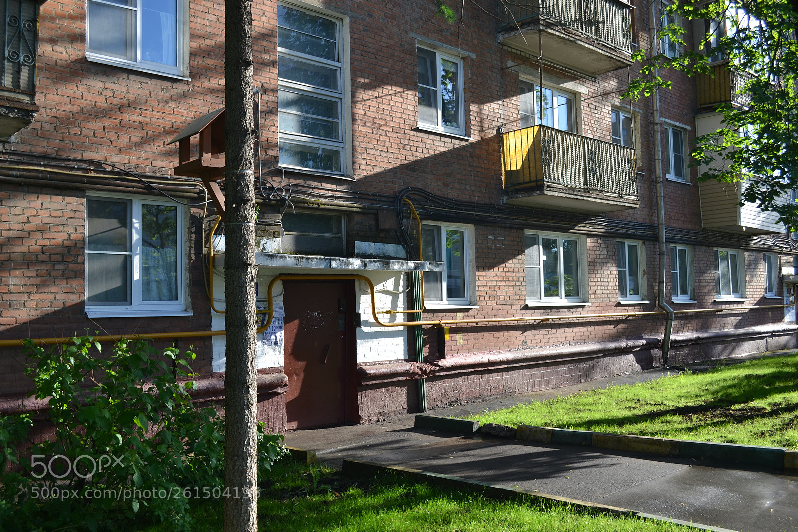 Nikon D3100 sample photo. Sunlight photography