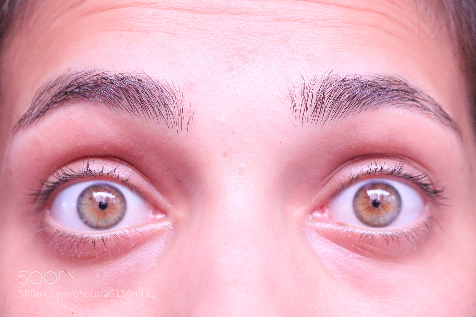 Canon EOS 80D sample photo. Immortal eyes photography