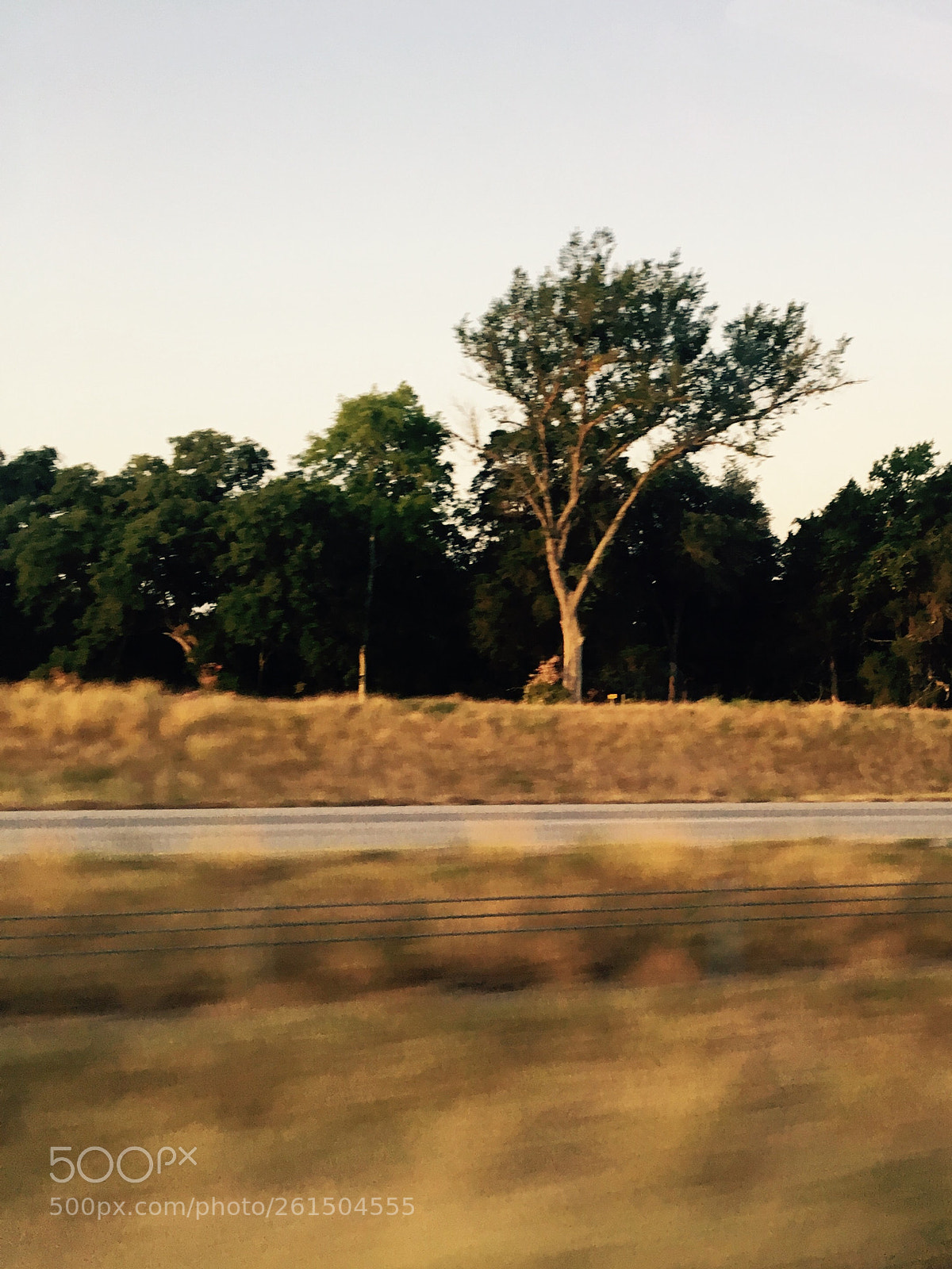 Apple iPhone 6s sample photo. Untitled photography