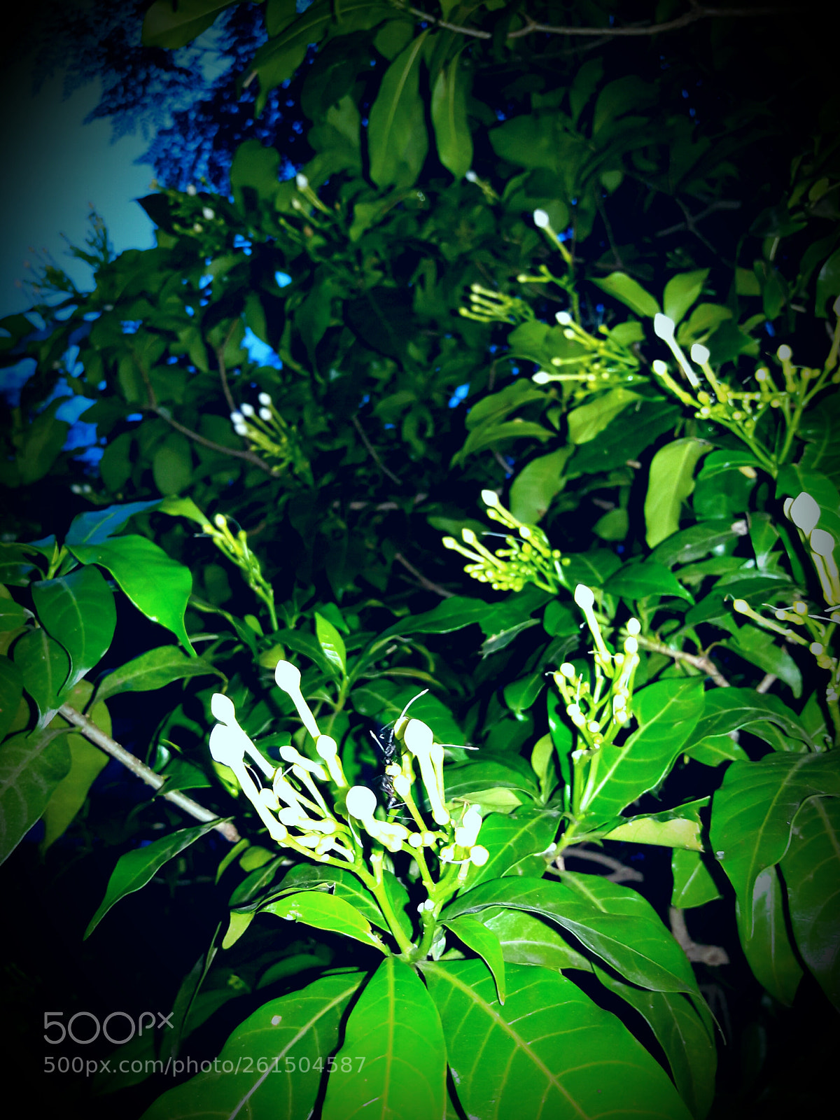 Samsung Galaxy J7 sample photo. Untitled photography