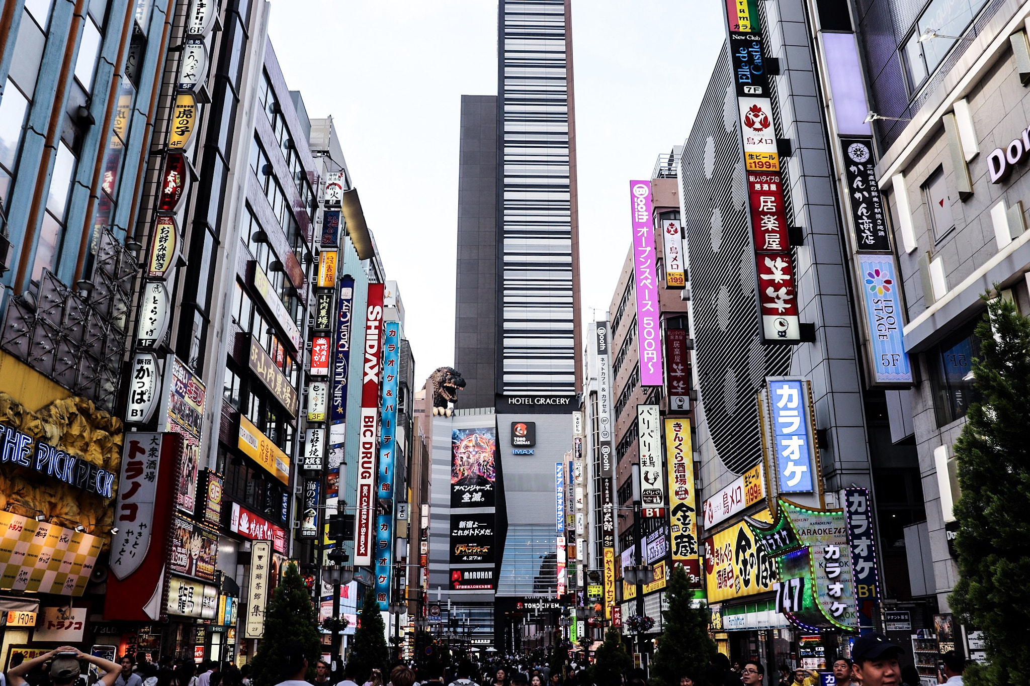Canon EOS 800D (EOS Rebel T7i / EOS Kiss X9i) sample photo. Godzilla photography