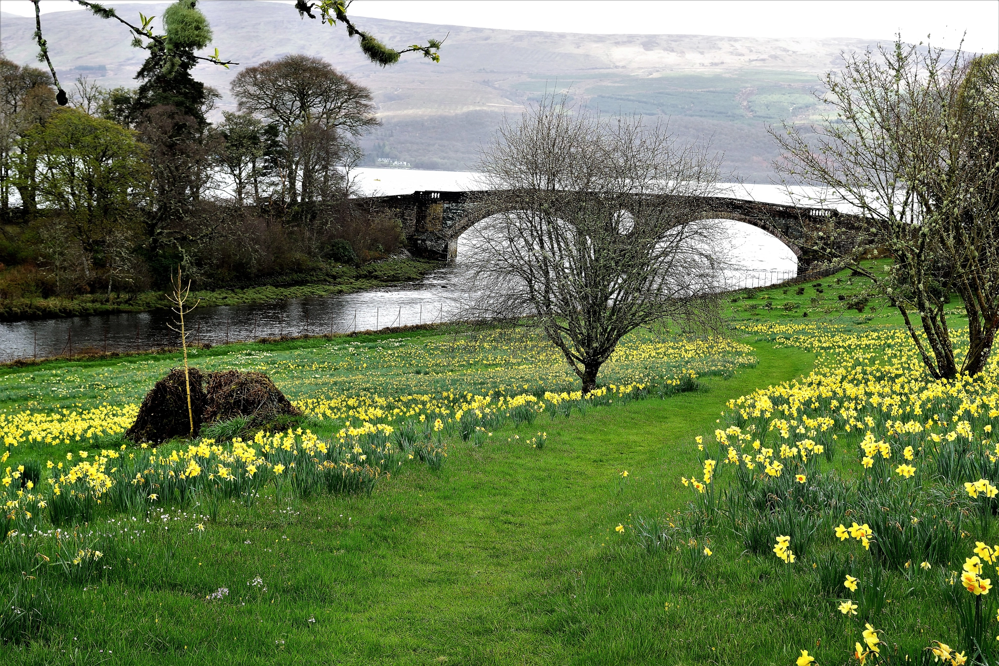 Nikon D5300 sample photo. Inverary castle grounds photography