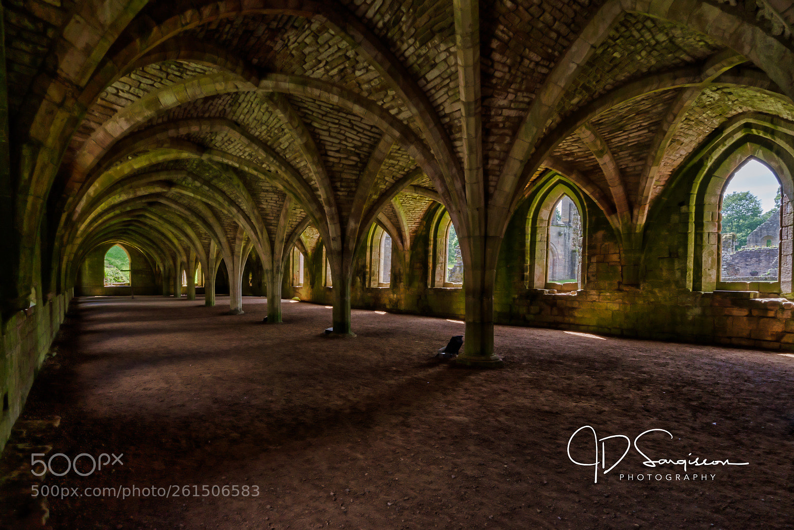 Sony a7 III sample photo. Fountains abbey cloister photography