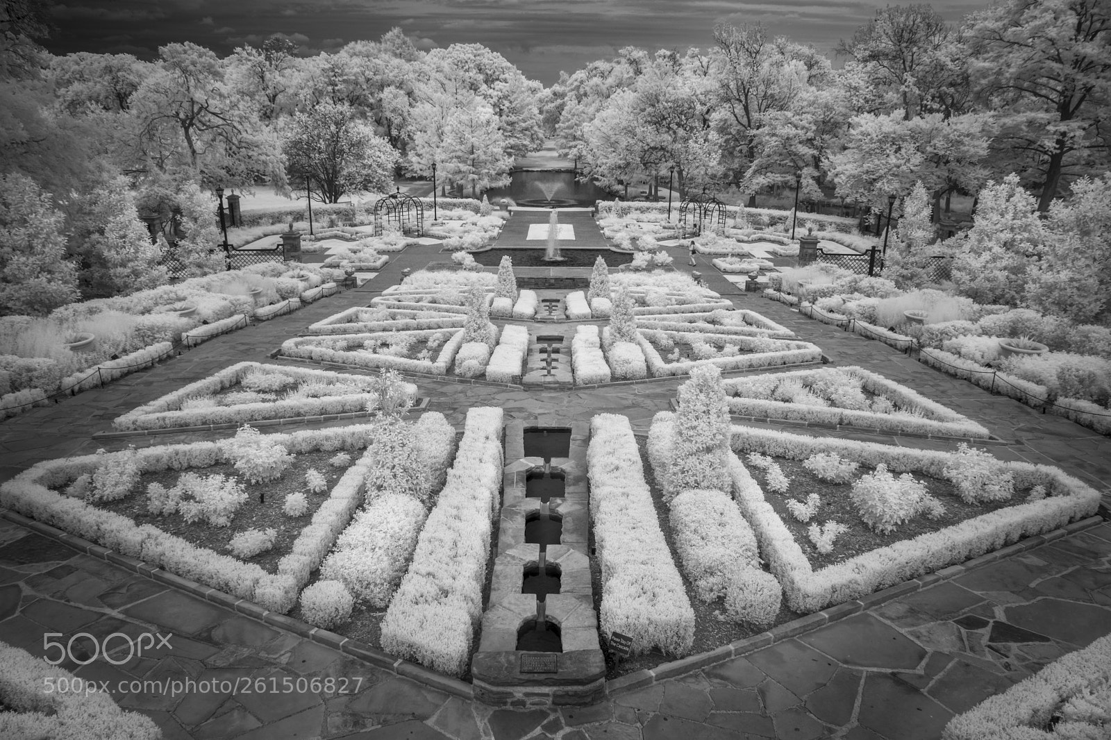 Nikon D7100 sample photo. Botanic garden under an photography