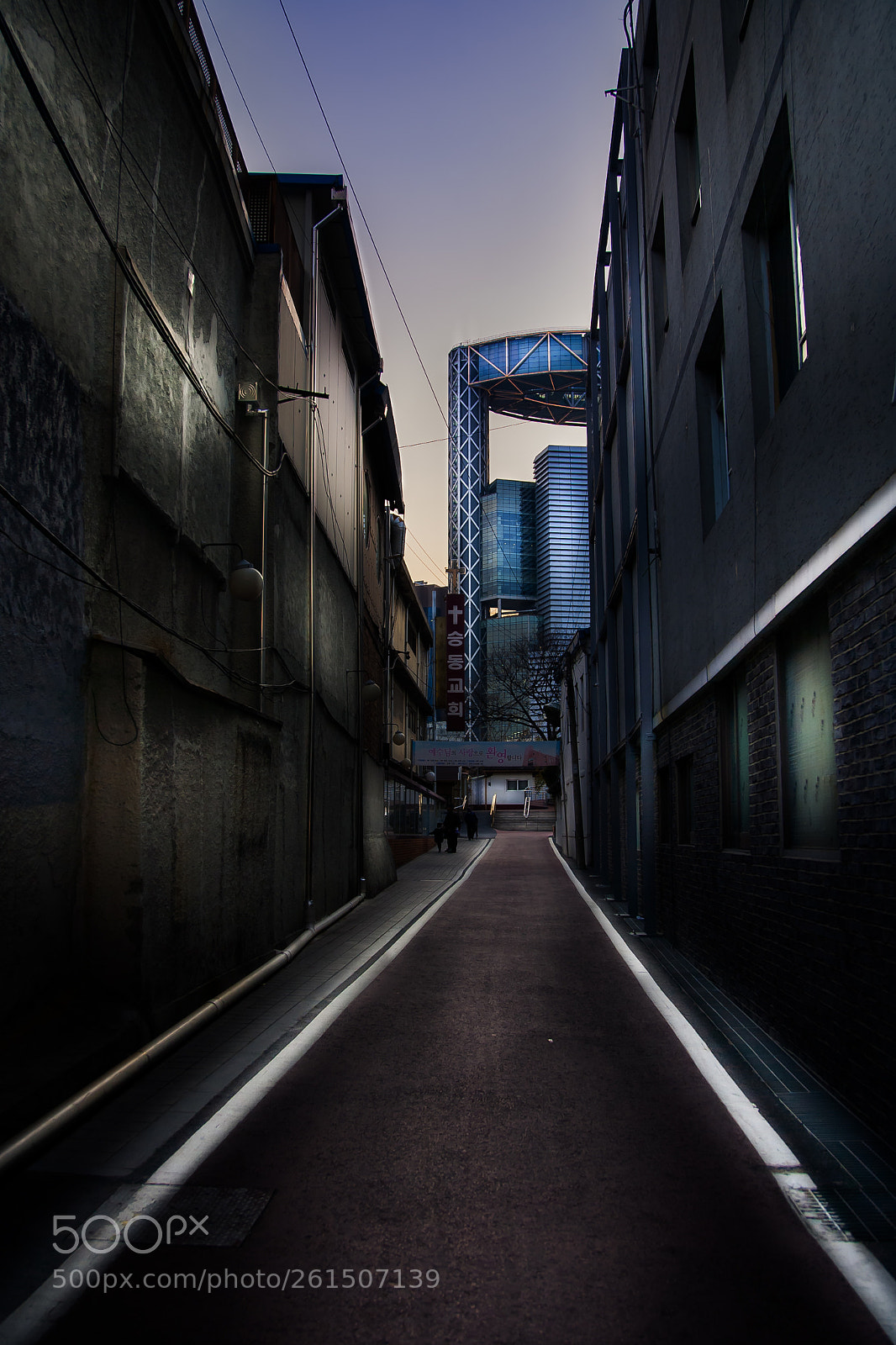 Canon EOS-1D Mark II N sample photo. An alley photography