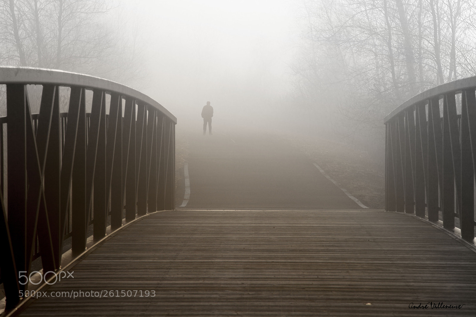 Canon EOS 5D Mark II sample photo. The fog after the photography