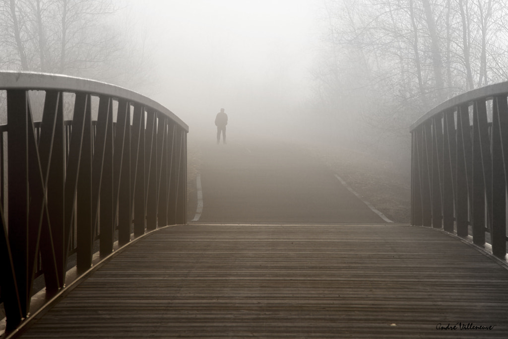 The fog after the bridge, автор — Andre Villeneuve на 500px.com