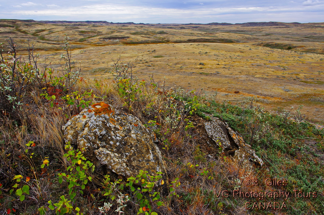 Pentax K-3 sample photo. Grasslands national park photography