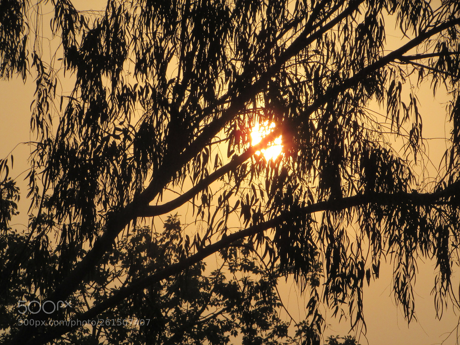 Canon PowerShot SX400 IS sample photo. Sunset photography
