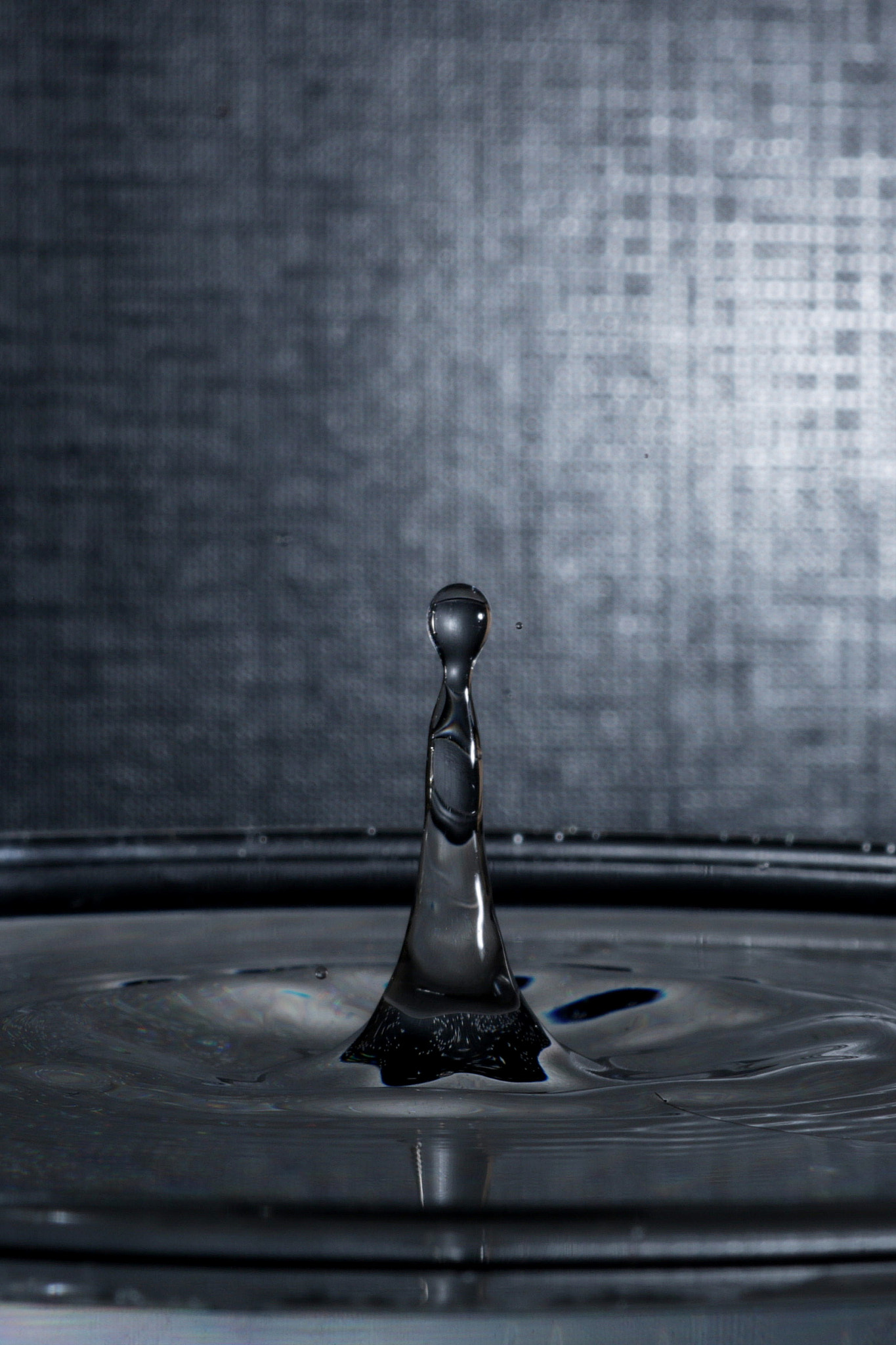 Canon EOS 760D (EOS Rebel T6s / EOS 8000D) sample photo. Inside water there are many magical things photography