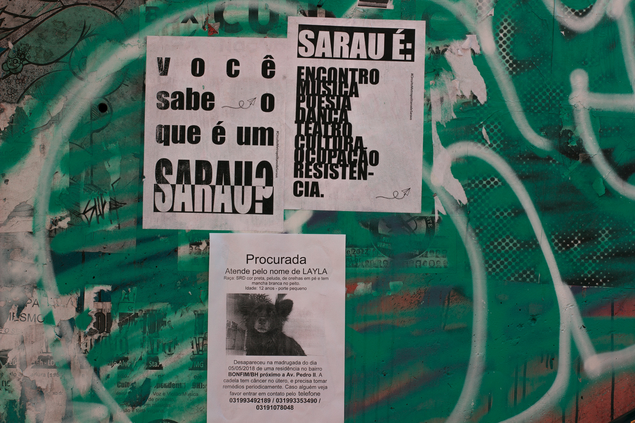 Canon EOS 100D (EOS Rebel SL1 / EOS Kiss X7) sample photo. Procurada photography
