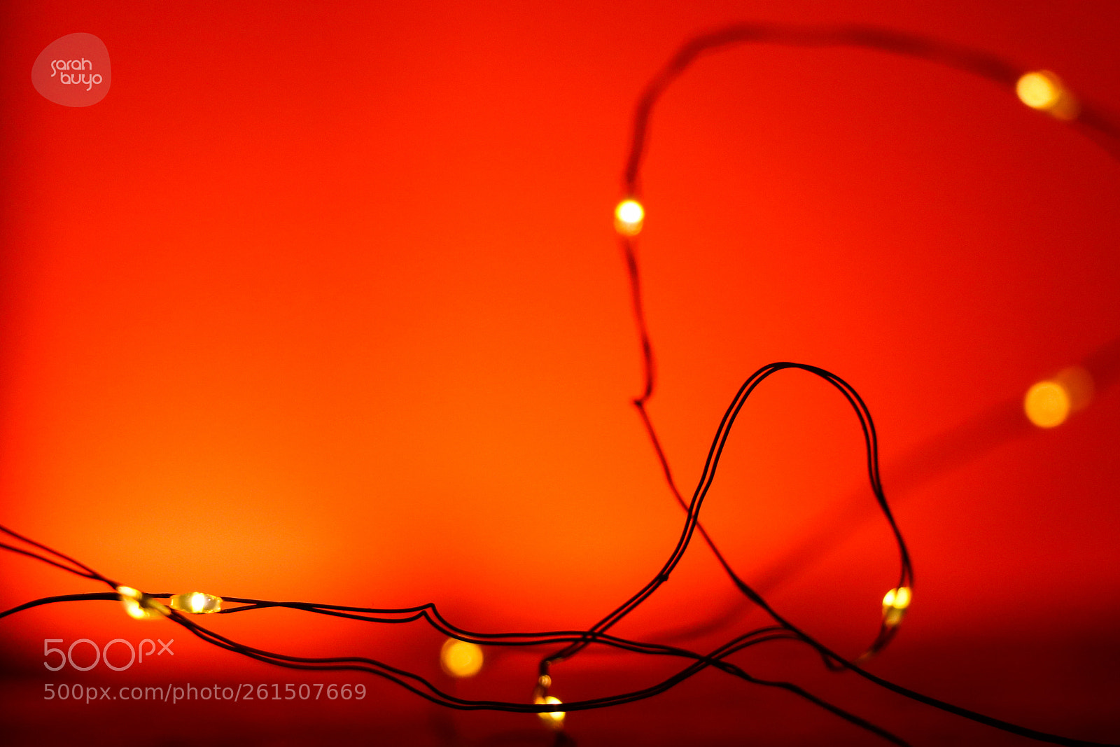 Canon EOS 80D sample photo. Lights photography