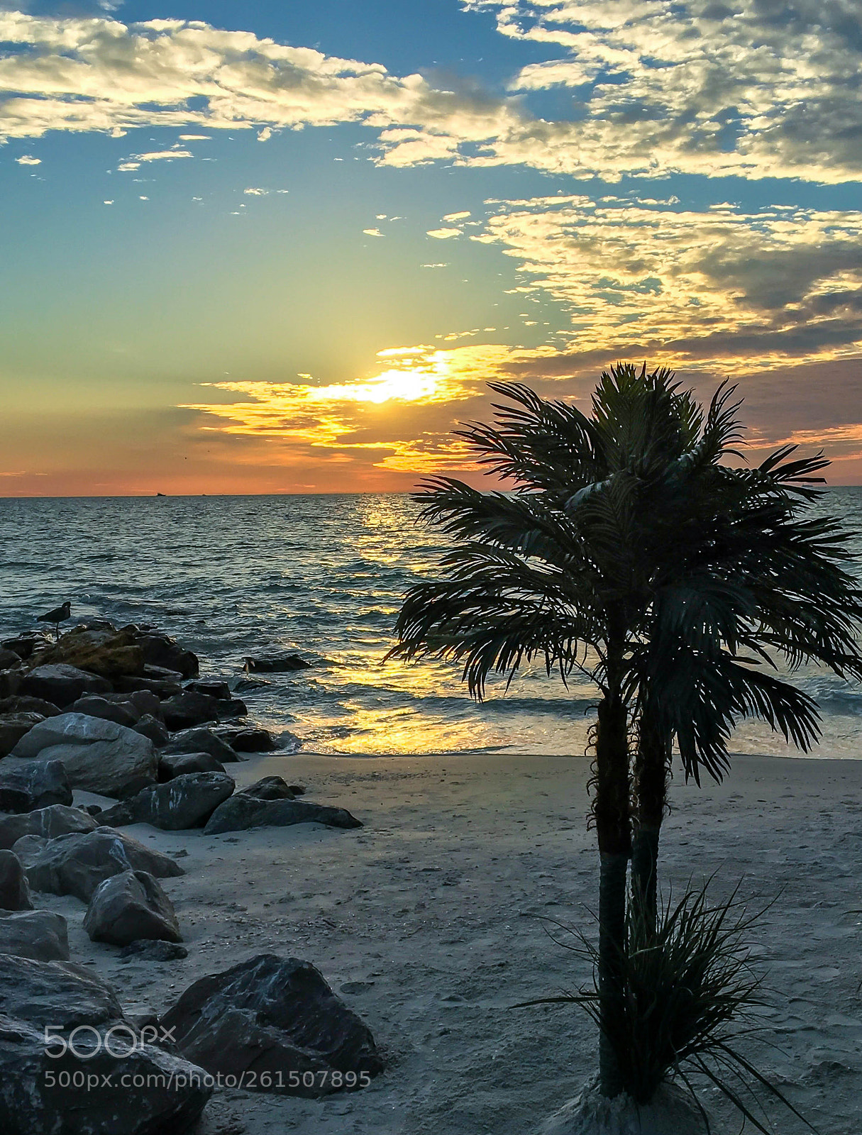 Apple iPhone 6s sample photo. Sunsets in st pete photography